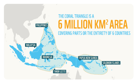 Coral Triangle Covers 6 Million Km2 Area