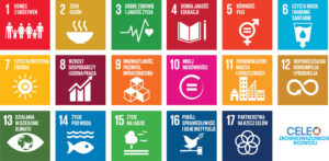 17-SDG-dla-Dzieci-male