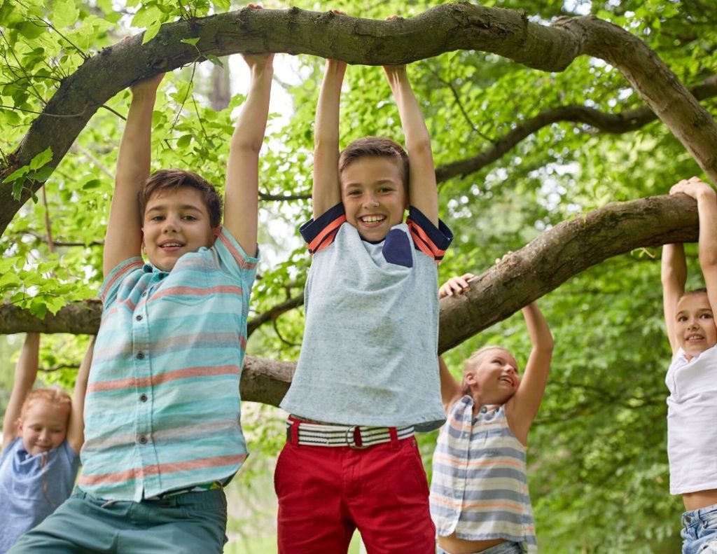 dzieci wiszą na grubych gałęziach drzew