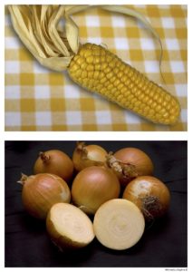 Zdjęcie kukurydzy i zdjęcie cebul