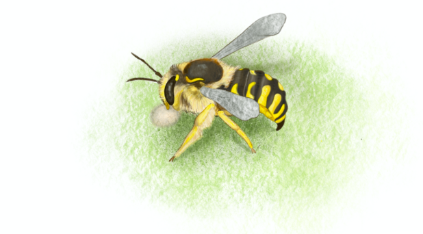 grafika pszczoły siedzącej na liściu