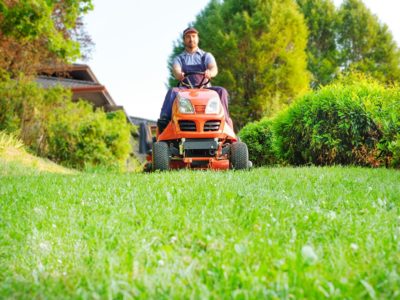 Mowing on the meadow