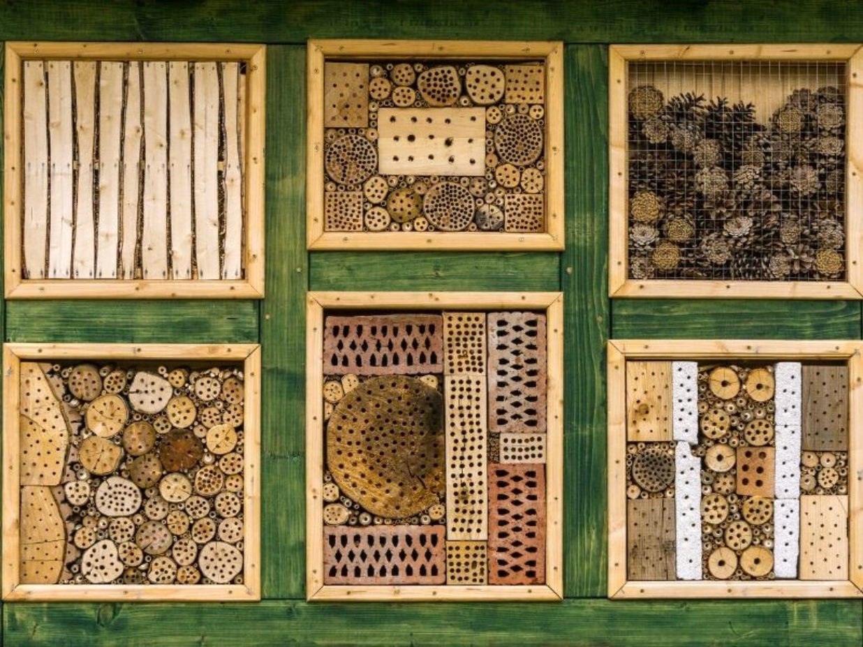 Make an insect hotel with the children