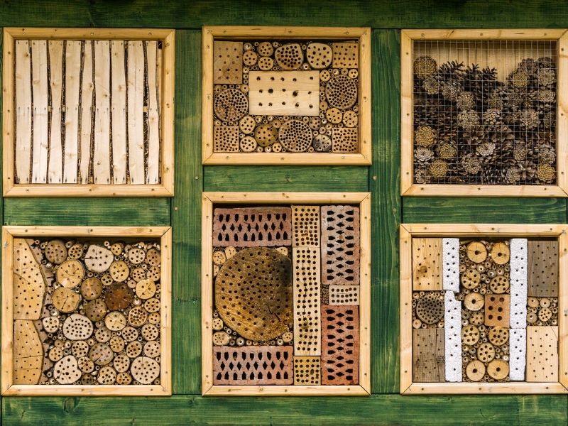 hotel dla pszczół