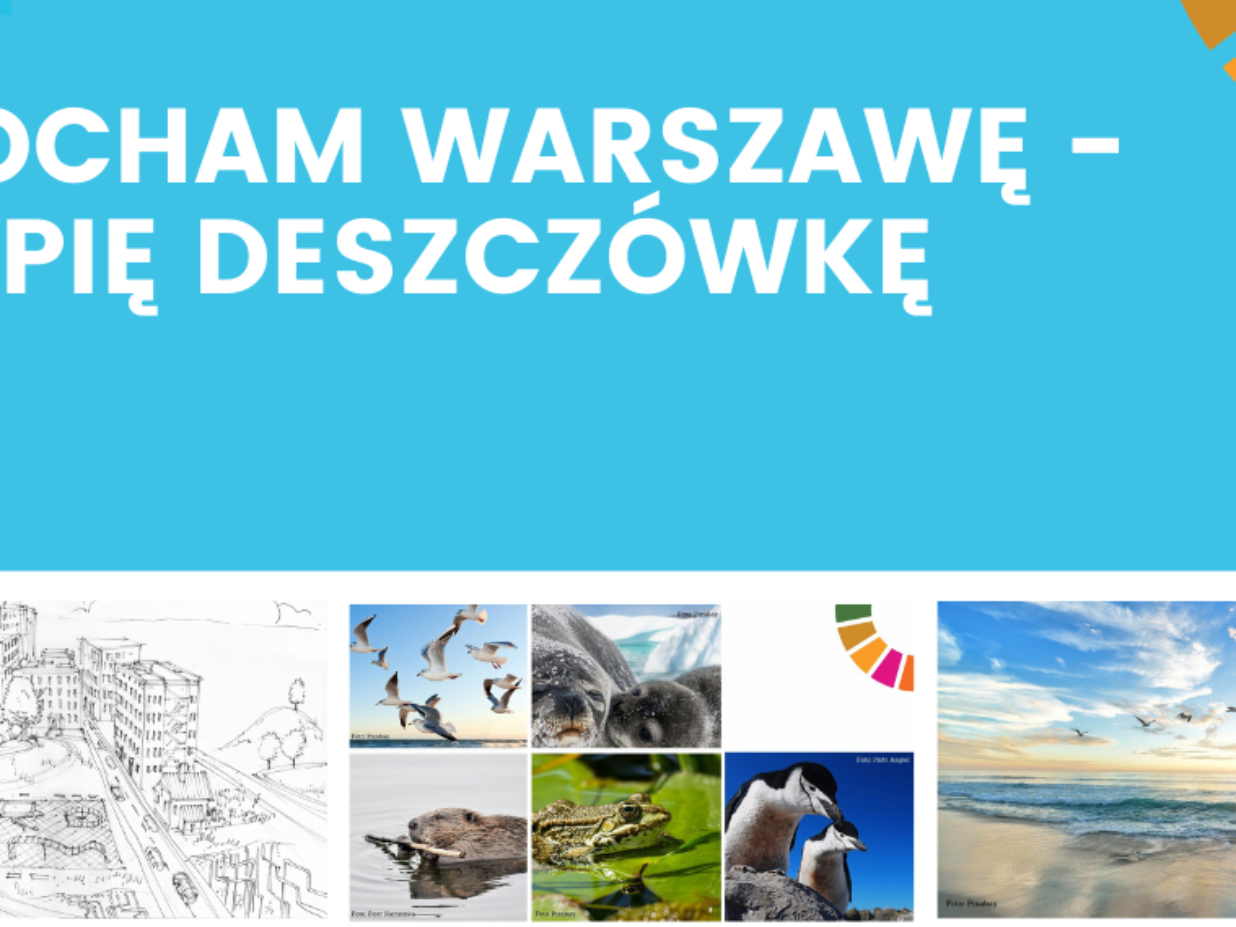 Kocham Warszawę – Łapię Deszczówkę – PIOSENKA, BAJKA, SCENARIUSZE