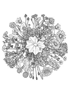 mandala z kwiatów