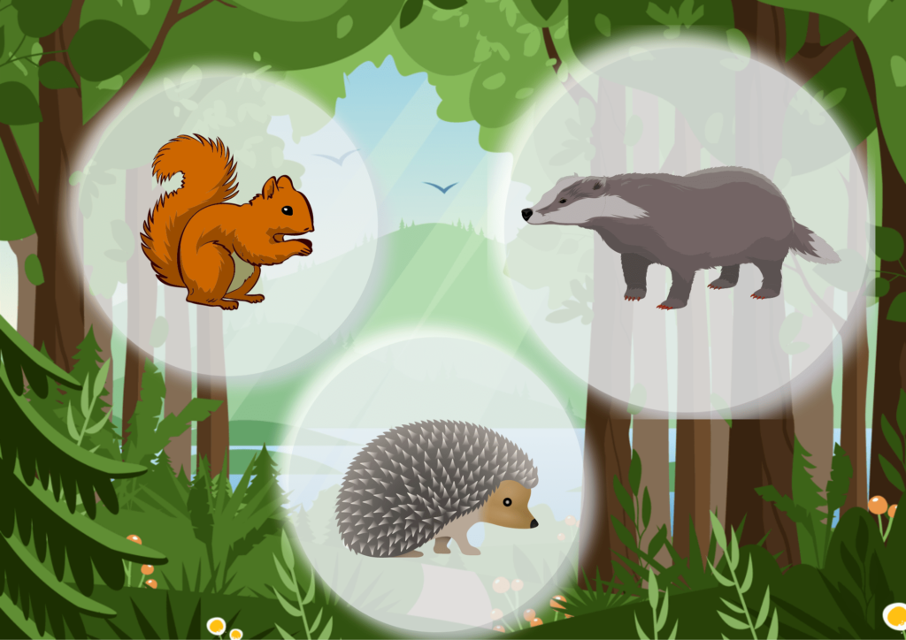Obrazek tytułowy - obrazek lasu, widoczna wiewiórka, borsuk i jeż