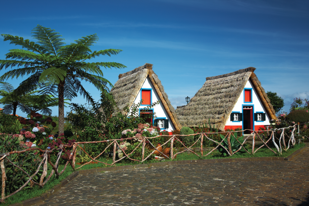 Fotografia przedstawia dwa tradycyjne domy na Maderze. Domy mają spadziste dach pokryte słomą, białe ściany z czerwono-niebieskimi elementami. Wokół ogród i palmy.
