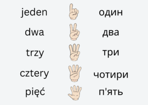 lista liczb w języku polskim i ukraińskim