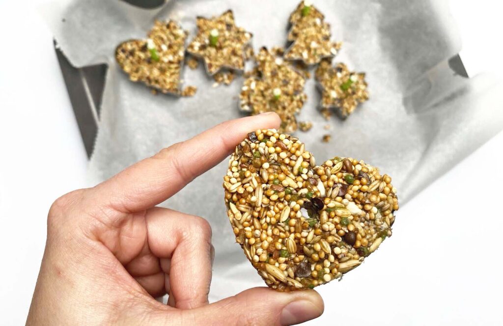 A Snack For Birds