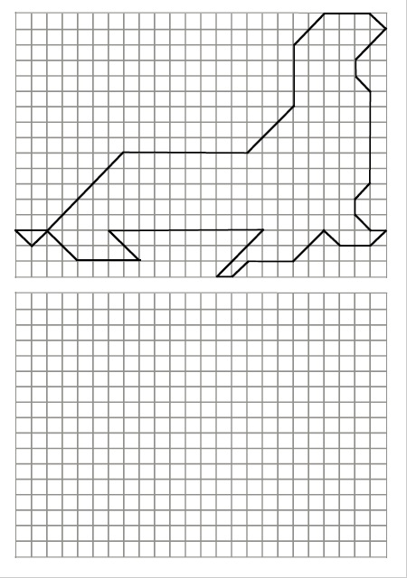 22.03_dzieńfok_6._foka 22.03 Dzienfok 6. Foka