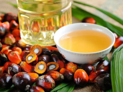 “No” to palm oil