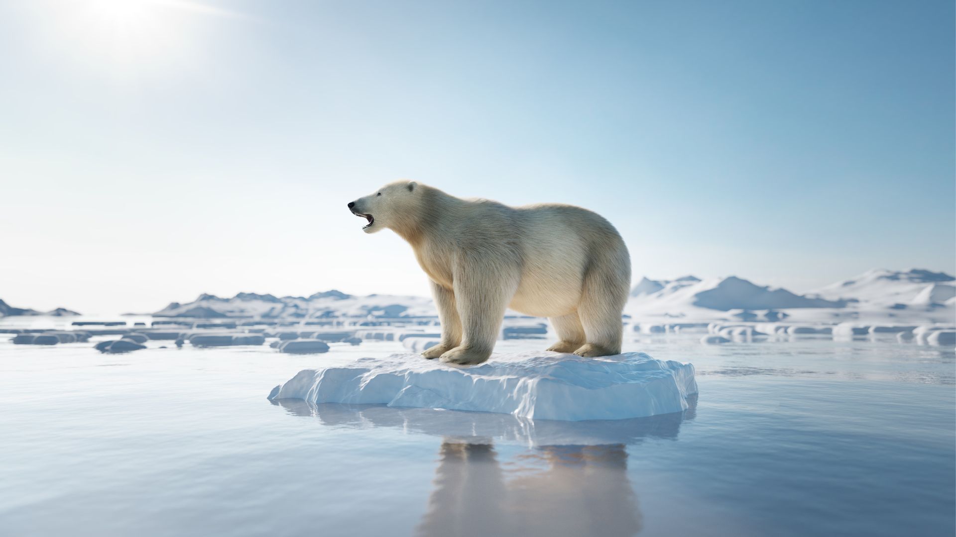 27.02_Dzień niedźwiedzia polarnego (2) niedźwiedź polarny