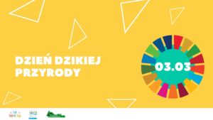 Dzień dzikiej przyrody - okładka prezentacji