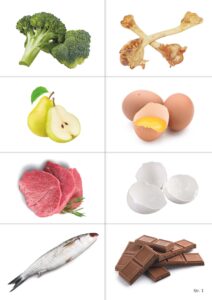 na obrazku: brokuły, kości mięsne, gruszka, jajka całe, mięso, skorupki jajka, ryba, czekolada