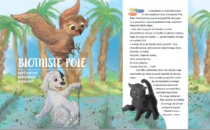 Blotniste-pole_bajka-o-glodzie-300x186 Bajka "Błotniste pole"