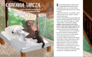 Obronna-tarcza_bajka-o-szczepieniach-300x185 Bajka "Obronna tarcza"