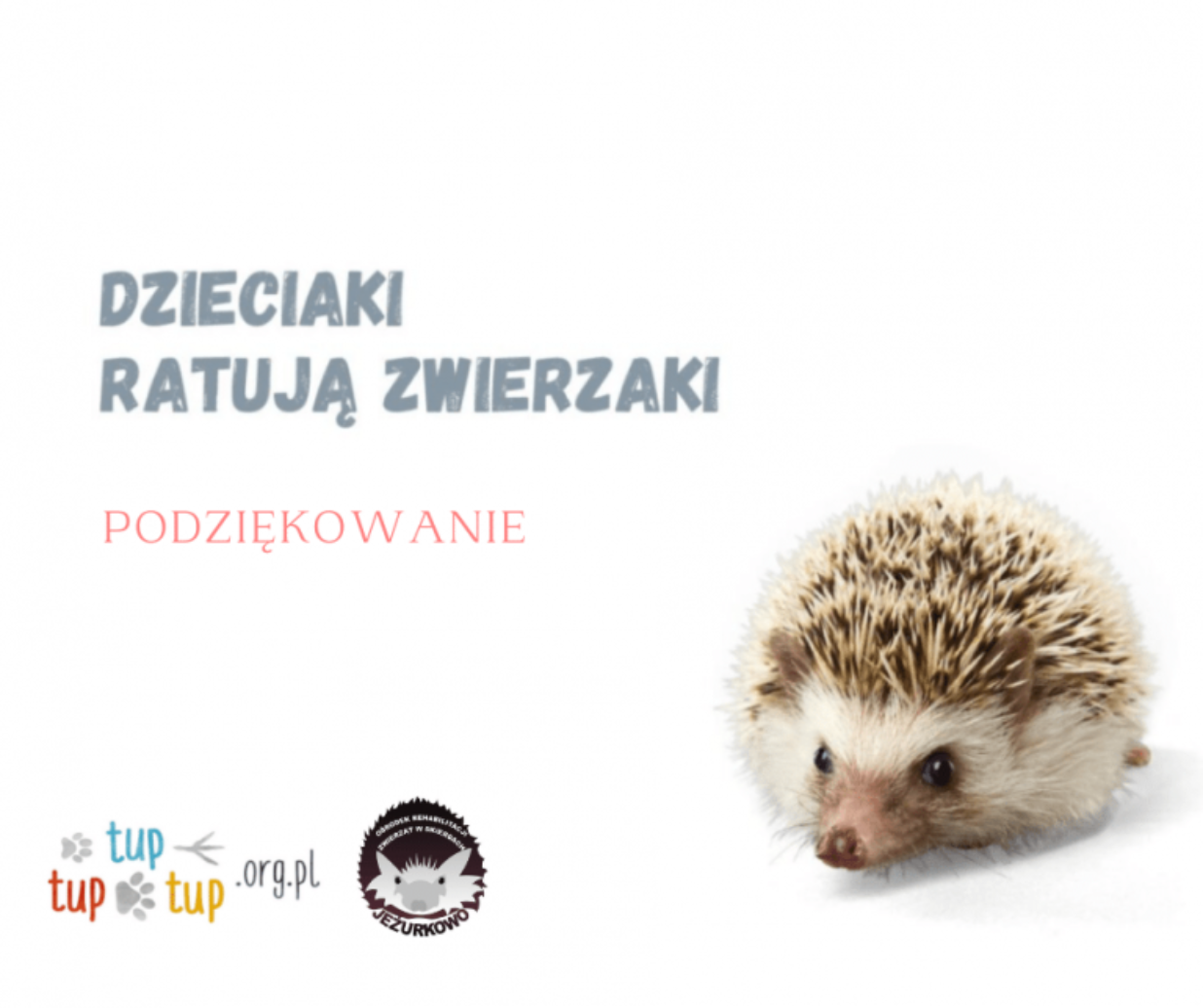 Napis "Dzieciaki ratują zwierzaki" a obok jeż. W lewym dolnym rogu logo tup tup tup i jeżurkowa