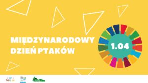 Strony od 1.04_Międzynarodowy dzień ptaków__prezentacja (1) pierwsza strona prezentacji