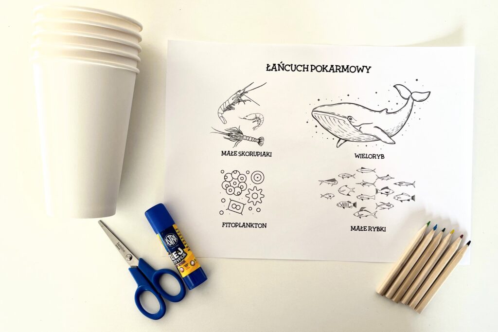 Łańcuch pokarmowy_materiały materiały do wykonania zadania