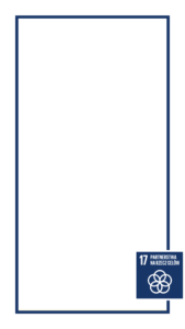 17 ramka SDG17