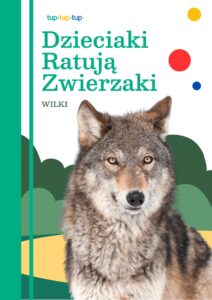 Dzieciaki ratują wilki_publikacja Okładka do materiałów o wilkach Dzieciaki Ratują Zwierzaki