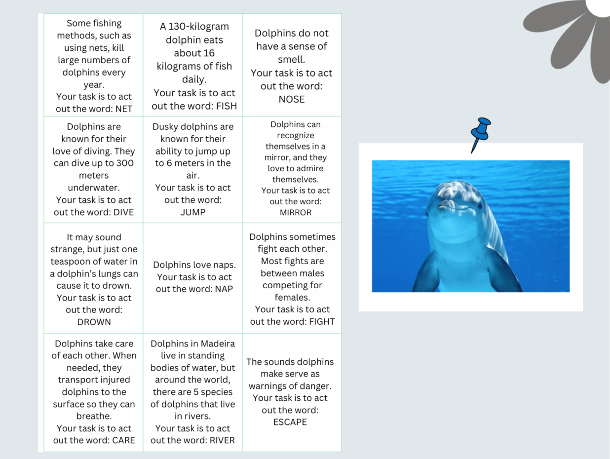 Dolphins