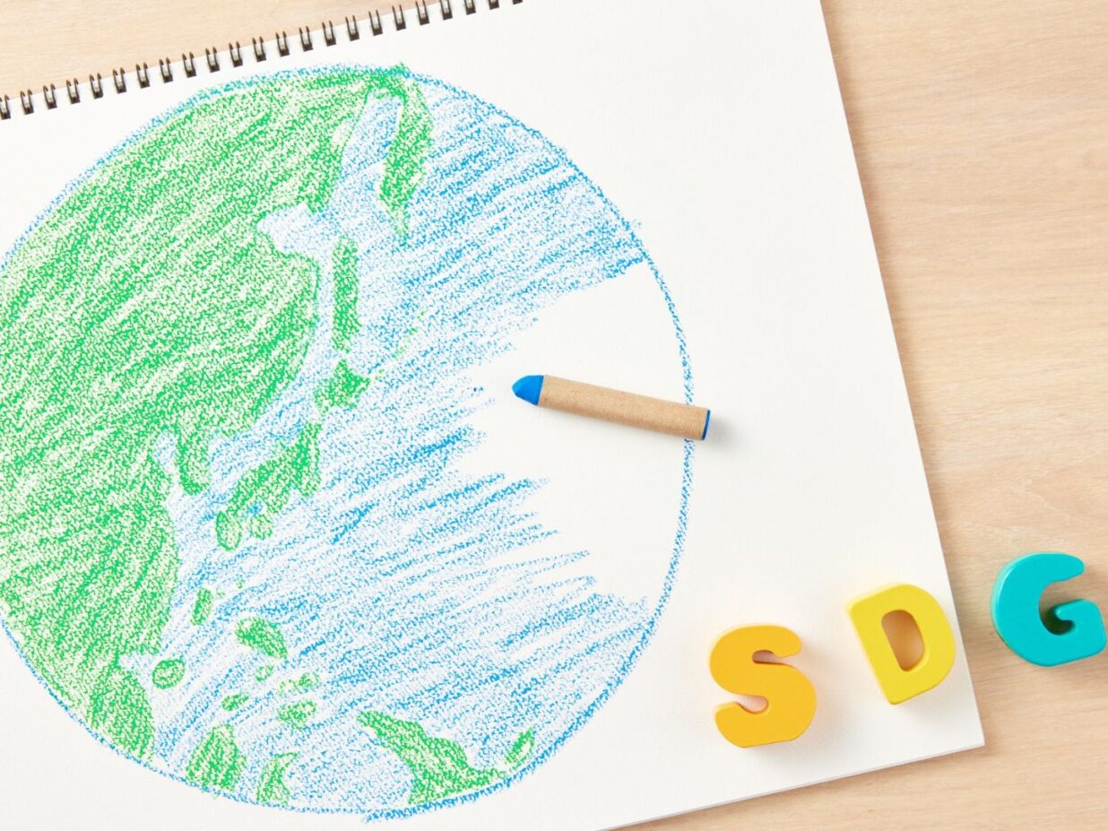 Język SDG – zrozumiały czy budzący niechęć?