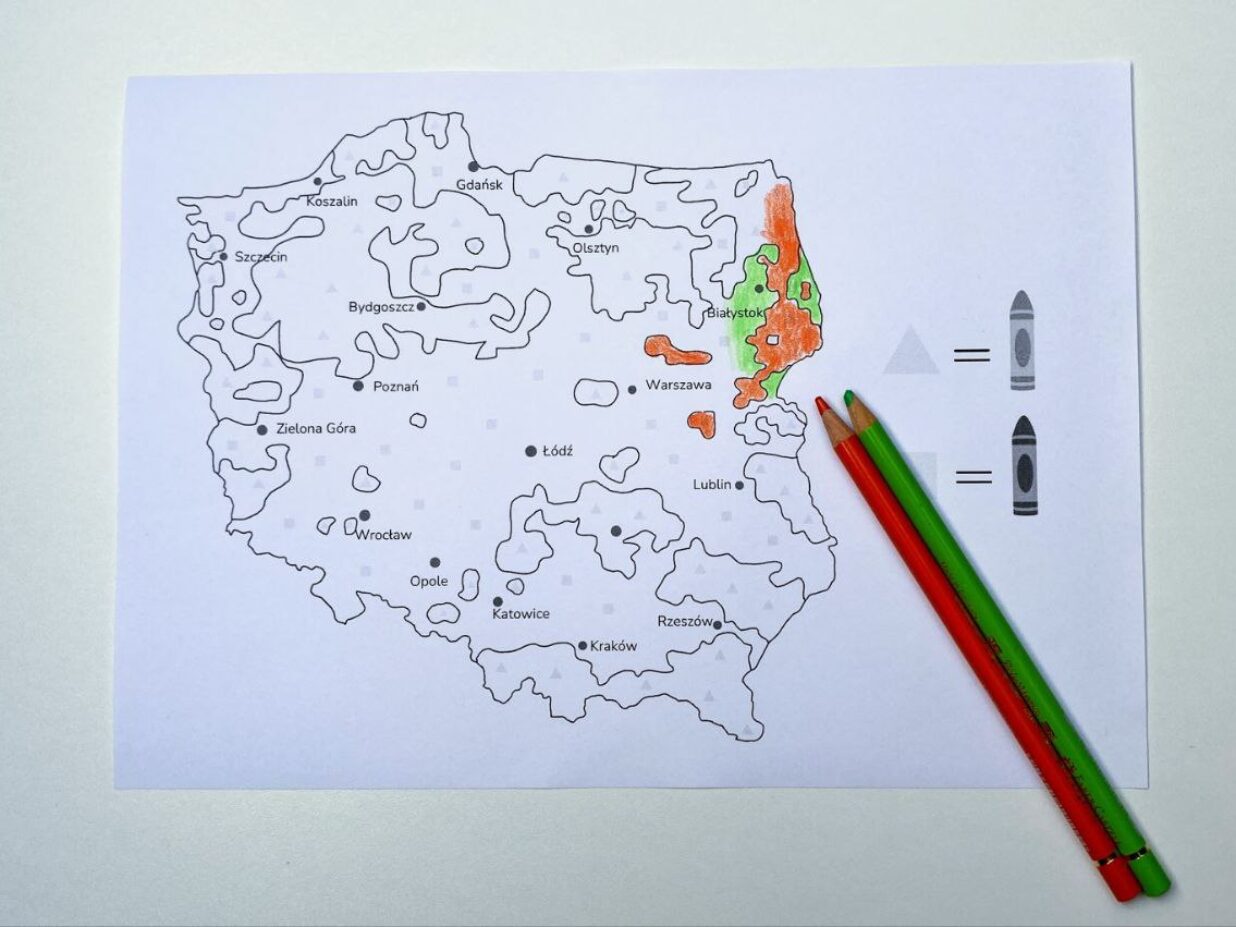 Gdzie można spotkać wilka w Polsce?