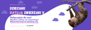 baner - strona www