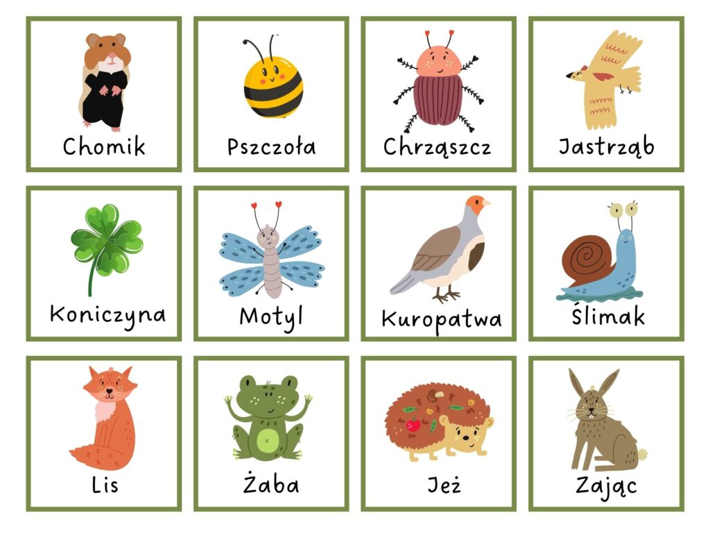Polna pajęczyna pokarmowa