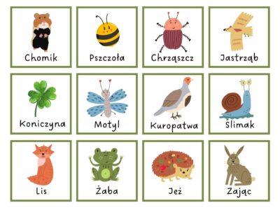 Polna pajęczyna pokarmowa