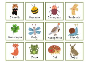 zwierzeta-lak-karty Zwierzeta Lak Karty 1 Pdf