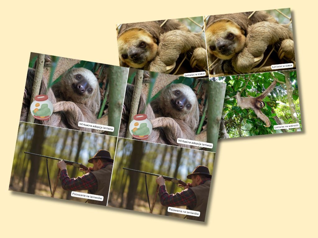 Co grozi leniwcom? Gra memory