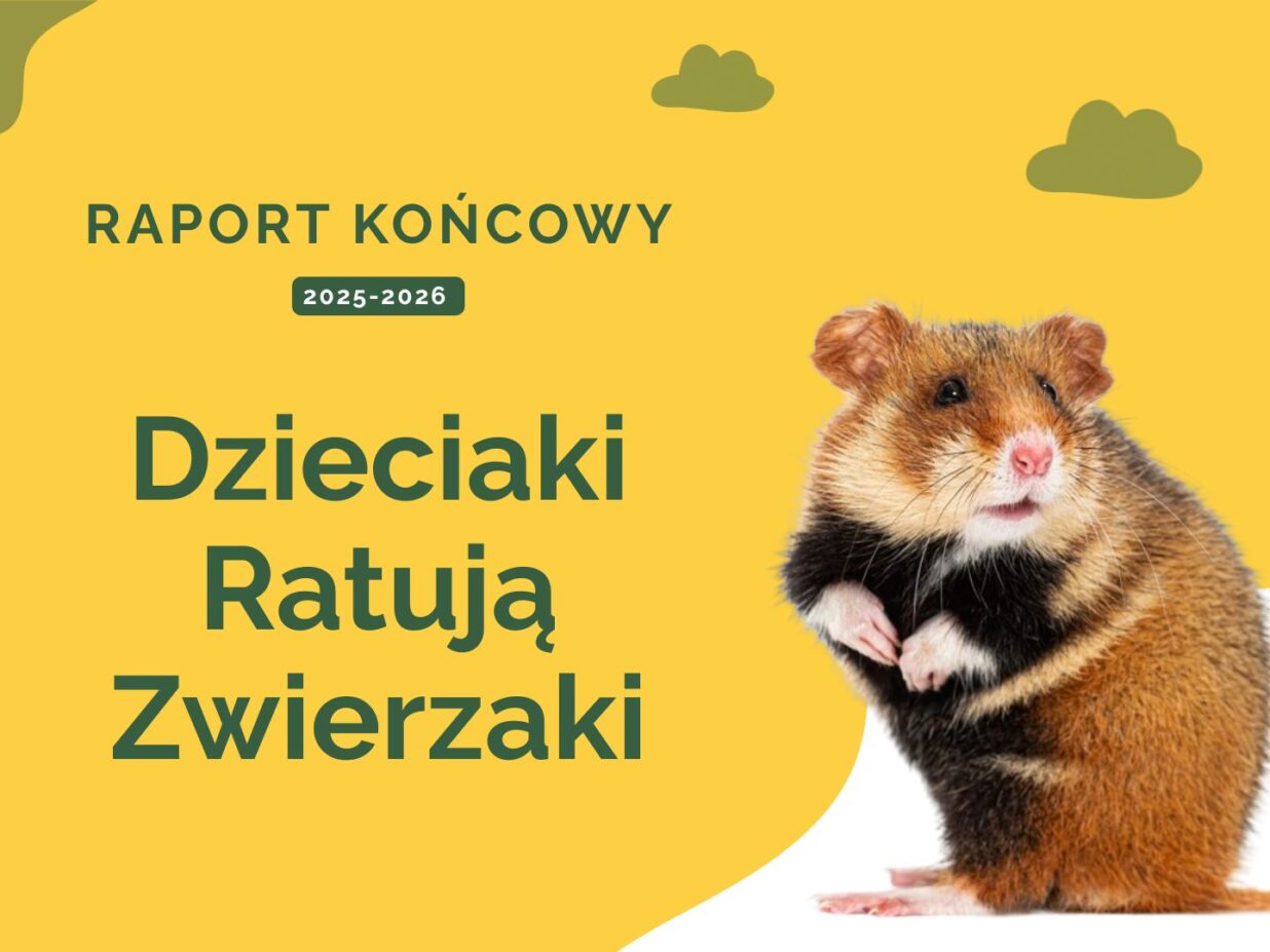 Od wiedzy do działania – finał V edycji „Dzieciaki Ratują Zwierzaki”