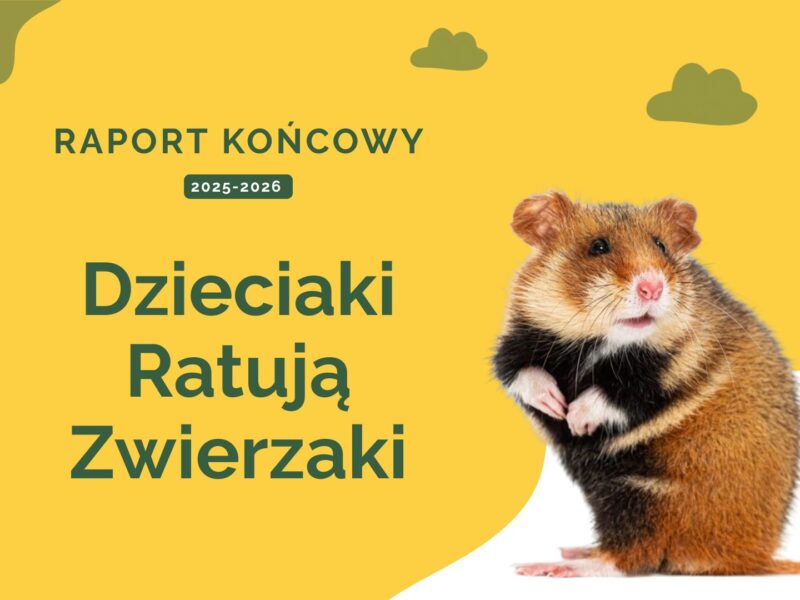 Od wiedzy do działania &ndash; finał V edycji &bdquo;Dzieciaki Ratują Zwierzaki&rdquo;